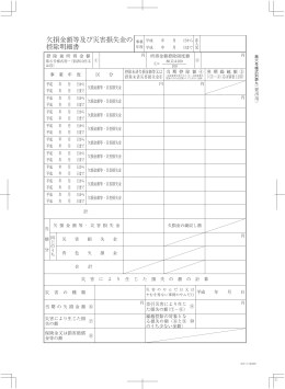 欠損金額等及び災害損失金の 控除明細書