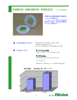 FORTAS GRINDING WHEELS