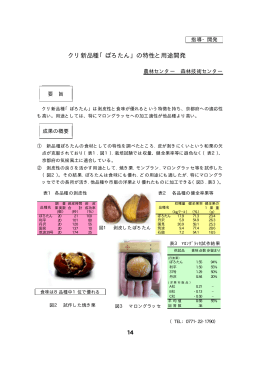 クリ新品種”ぽろたん”の特性と用途開発（PDF：138KB）