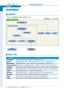 安全管理体制