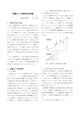 斎藤公子の障害児保育観