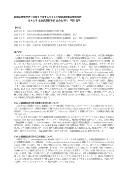 細菌の機能性オリゴ糖を生産するキチン分解関連酵素