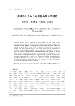 燃焼性からみた自然界の高分子構造 - 総合情報センター