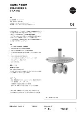 自力式圧力制御弁 燃焼ガス用減圧弁 タイプ 2405