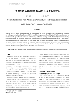 各種水素拡散火炎形態の違いによる燃焼特性