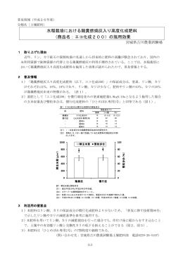 水稲栽培における鶏糞燃焼灰入り高度化成肥料 （商品名：エコ