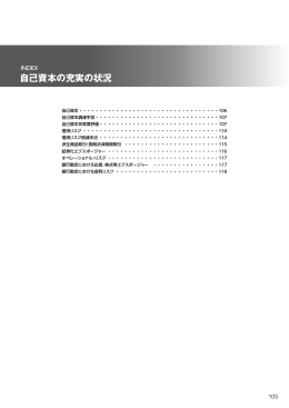 自己資本の充実の状況 (PDF/946KB)