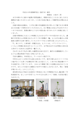 平成26年度椿研究会（接ぎ木）報告 事務局 小泉不二男 8月の終わりに