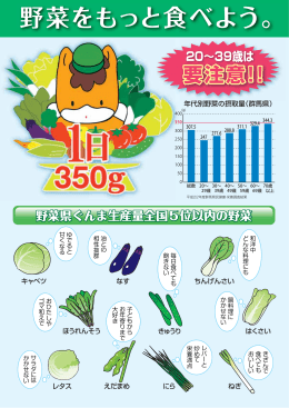 野菜をもっと食べよう（PDF972KB