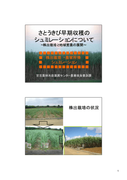 配布資料3「さとうきび早期収穫のシュミレーションについて」(農業改良