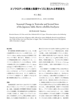 精巣 陰嚢 見 季節変化 Seasonal Change in Testicular