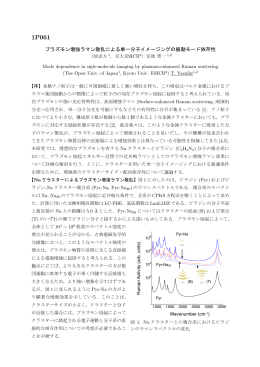 プラズモン増強ラマン散乱による単一分子イメージングの