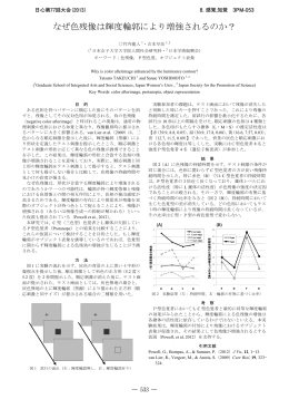 なぜ色残像は輝度輪郭により増強されるのか？