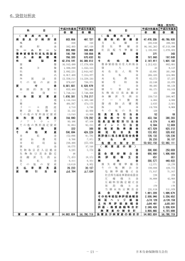 6．貸借対照表 - 日本生命保険
