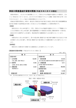 神奈川県普通会計貸借対照表(平成 25 年 3 月 31 日現在)