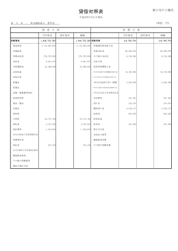 貸借対照表 - 社会福祉法人若竹会