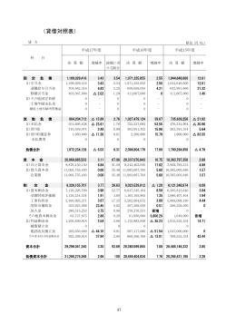 （貸借対照表）(2) (PDF:17キロバイト)