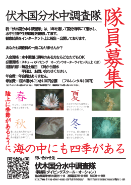 伏木国分水中調査隊 - ダイビングスクール・オーシャン