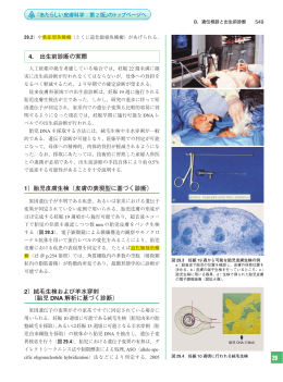4． 出生前診断﻿の実際 1）胎児皮膚生検（皮膚の表現型に基づく診断﻿） 2