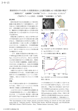 簡易形状モデルを用いた有限要素法による調音運動 /ei/ の筋活動の検討 *