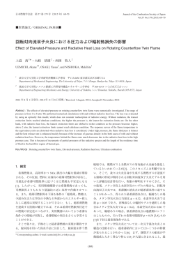 回転対向流双子火炎における圧力および輻射熱損失の
