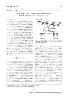 In-situ 偏光全反射蛍光 XAFS (in