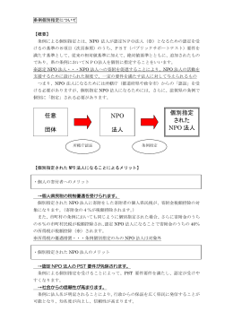 個別指定とは？（PDF：157KB）