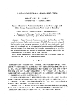 土佐清水市布岬地区および大岐地区の鮮新一更新統