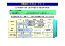 H25年度ロードマップ