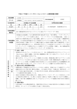 関西学院千里国際高等部 （PDF:223KB）