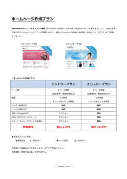 ホームページ作成プラン資料