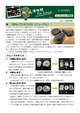 2014年9月号（「化石レプリカづくり」リニューアル！）