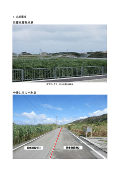 名護市屋我地島 今帰仁村古宇利島