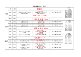2015年マタドール・スタイル・ランナーズ年間練習プログラム