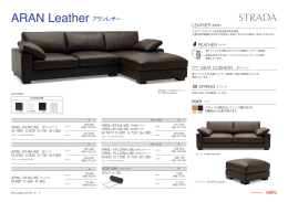 ALAN Leather