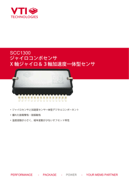6_SCC1300 New Flyer_表_20101108