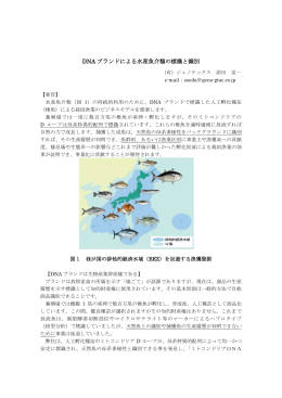 「人工孵化種苗のブランド標識と天然魚との識別法」（PDF