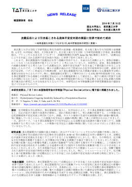 沈殿反応により引き起こされる流体不安定対流の実証に世界で初めて成功