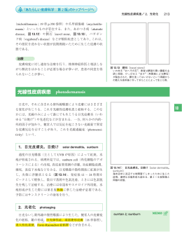 日光皮膚炎、日焼け