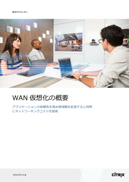 WAN 仮想化の概要
