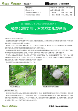 植物公園でモリアオガエルが産卵（2012年5月30日）