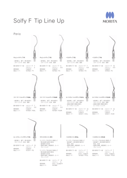 チップバリエーション