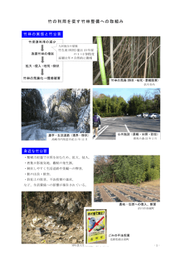 竹の利用を促す竹林整備への取組み