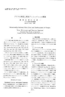 ブドウの果色と果皮アントシアニンの関係