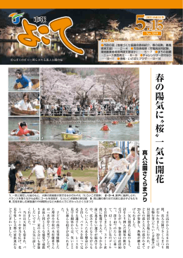 春の陽気 に 一気 に 開花 〝桜〟