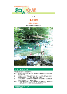 川上渓谷 [PDFファイル／263KB]
