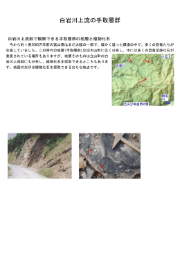 白岩川上流の手取層群