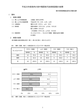 【H25調査結果詳細】（PDF：351KB）