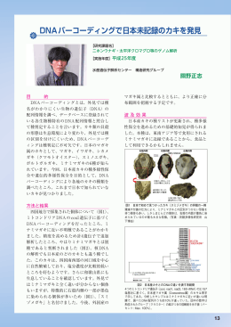 DNAバーコーディングで日本未記録のカキを発見