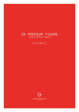 3D PREMIUM FIGURE